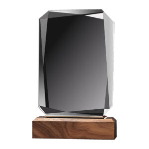 Hexagon Crystal Award