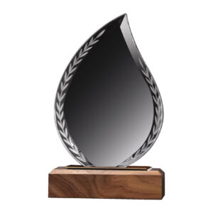 Teardrop Crystal Award